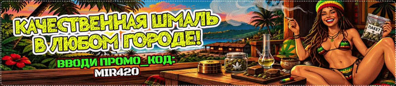 баннер 1-1-zm